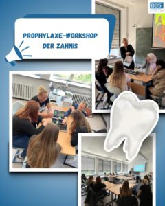 Mehr über den Artikel erfahren Prophylaxe-Workshop für unsere Zahnis